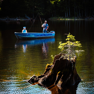 Cottage picture